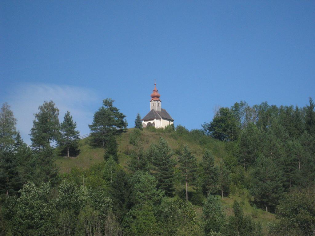 Готель Gasthof Zum Niederhaus - Familie Perthold Sankt Aegyd am Neuwalde Екстер'єр фото