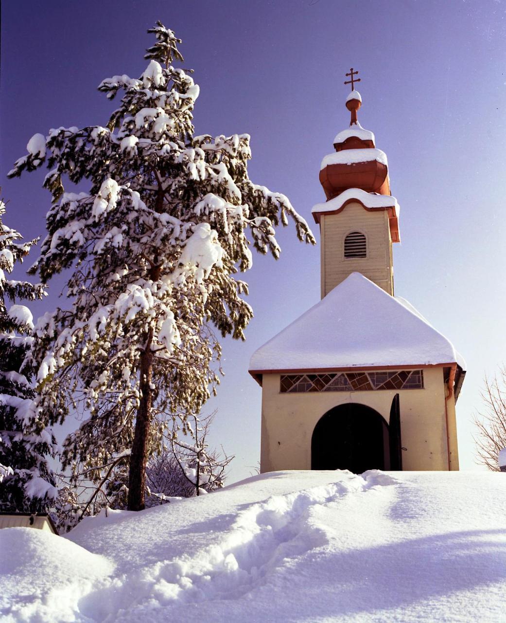 Готель Gasthof Zum Niederhaus - Familie Perthold Sankt Aegyd am Neuwalde Екстер'єр фото