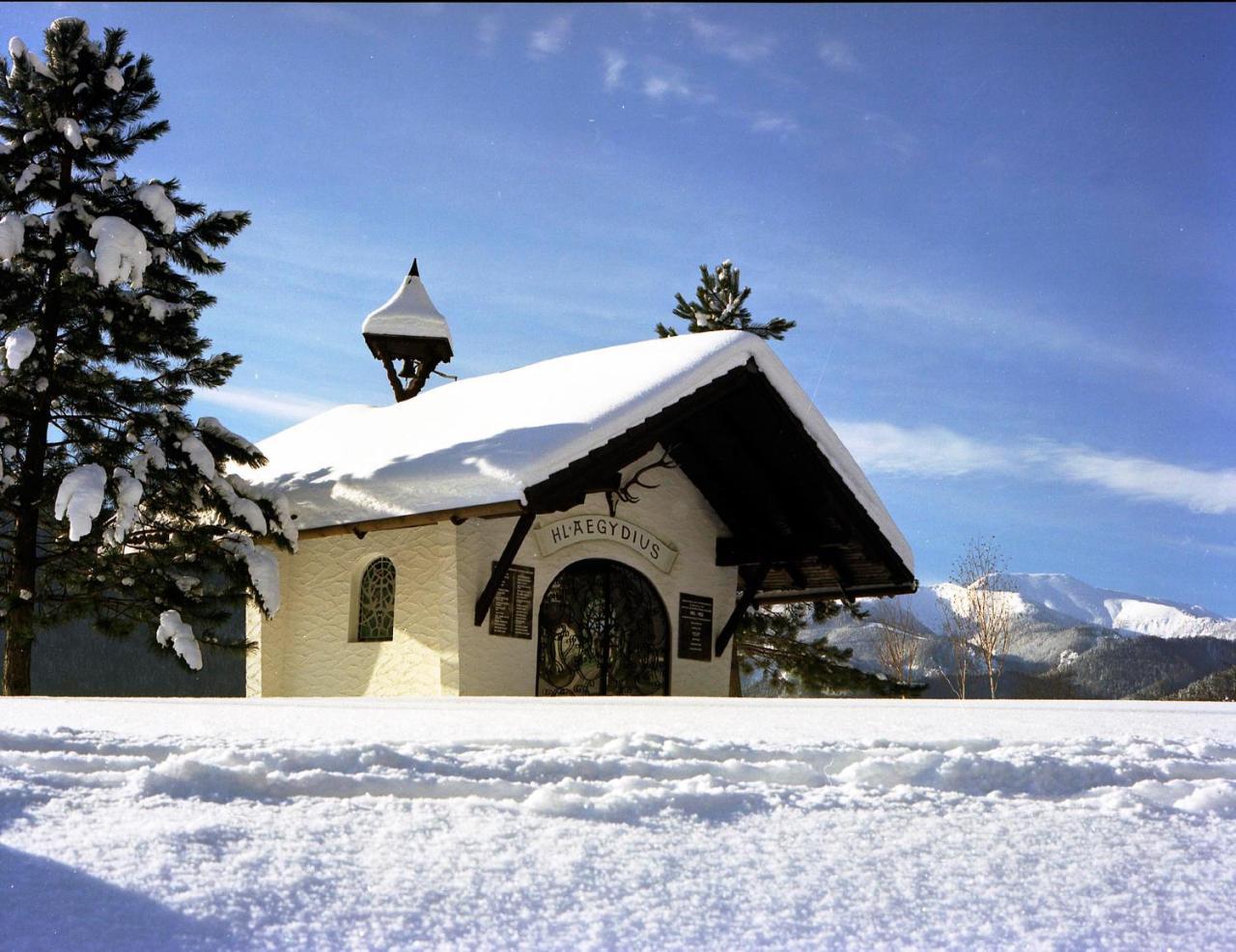 Готель Gasthof Zum Niederhaus - Familie Perthold Sankt Aegyd am Neuwalde Екстер'єр фото